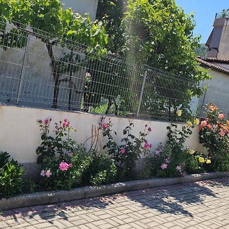 Aliaj Guest House Berat Zewnętrze zdjęcie