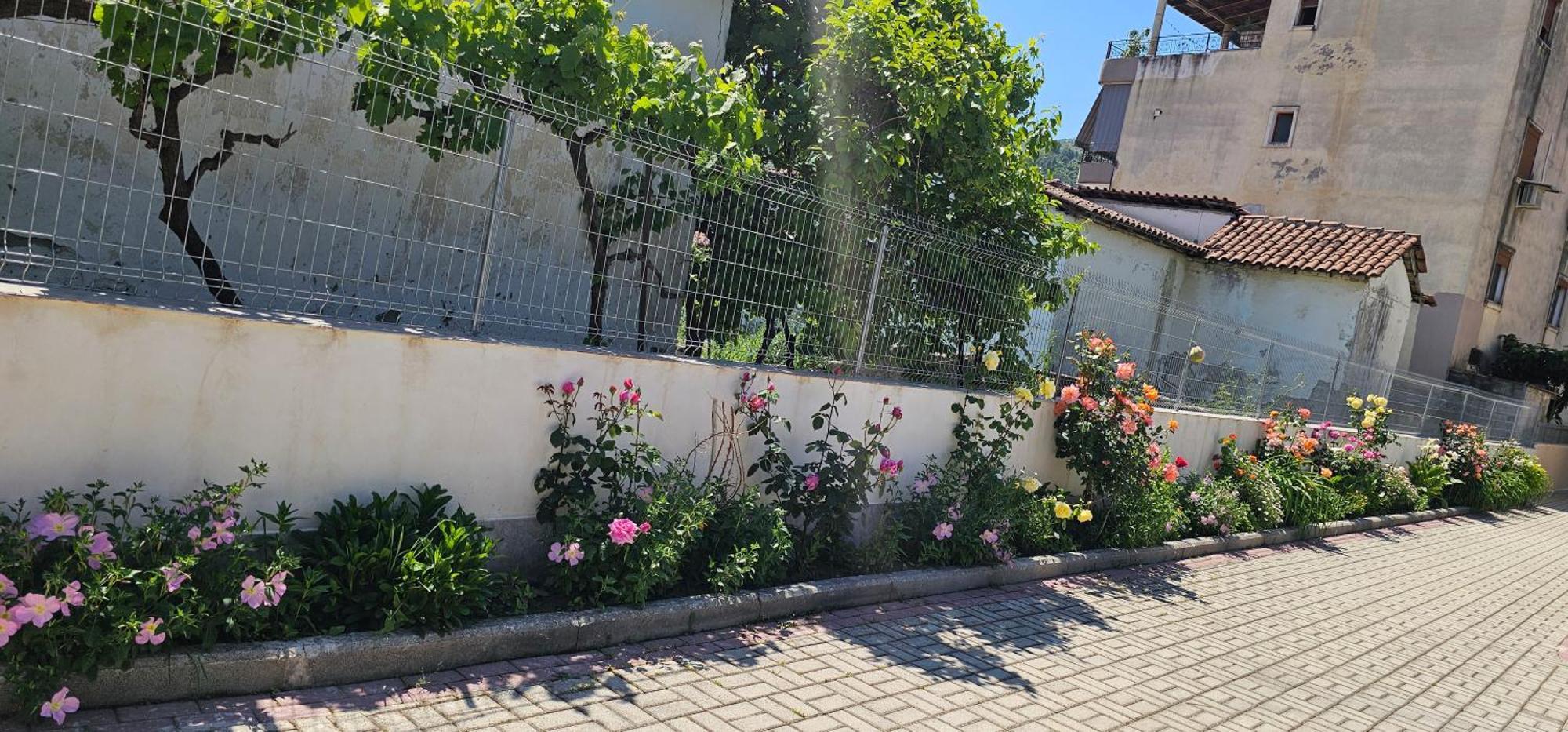 Aliaj Guest House Berat Zewnętrze zdjęcie